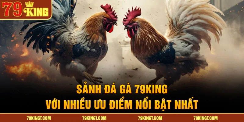 Sảnh đá gà 79KING với nhiều ưu điểm nổi bật nhất